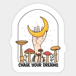 Chase Your Dreams Sticker